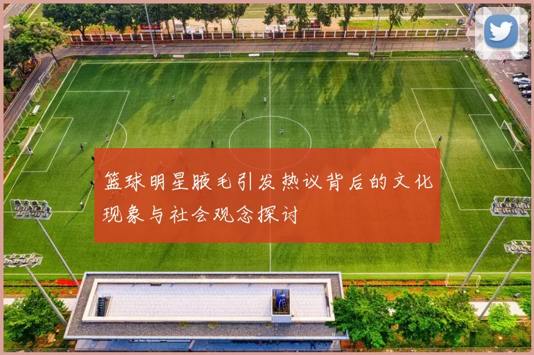 篮球明星腋毛引发热议背后的文化现象与社会观念探讨