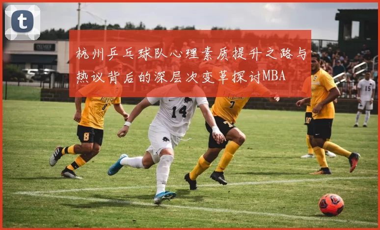 杭州乒乓球队心理素质提升之路与热议背后的深层次变革探讨MBA