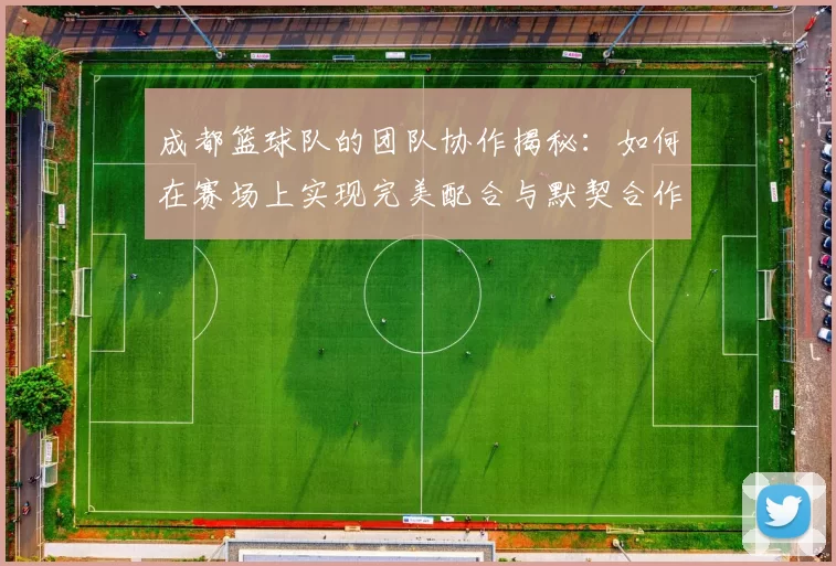 成都篮球队的团队协作揭秘：如何在赛场上实现完美配合与默契合作MBA