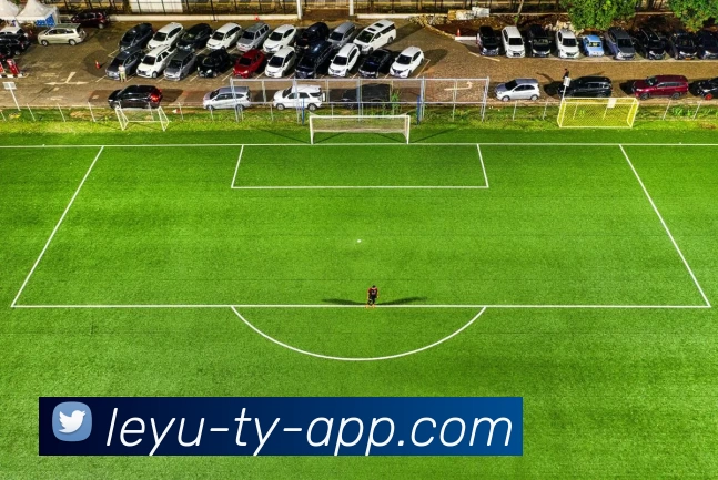 leyu乐鱼体育app下载APP 封面图